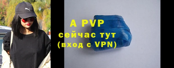 a pvp Бородино